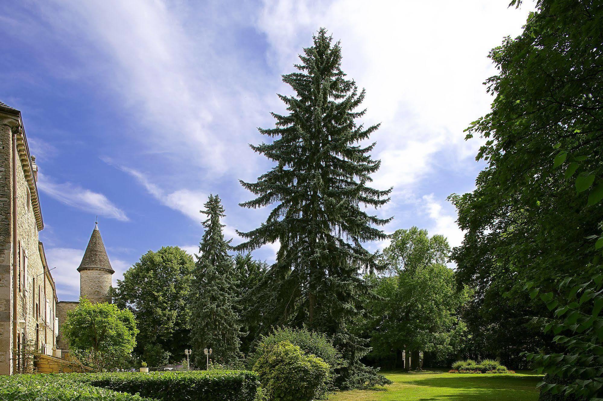 Chateau De Fleurville & Spa - Les Collectionneurs Eksteriør bilde